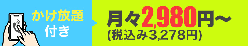 かけ放題付きは月々2980円から